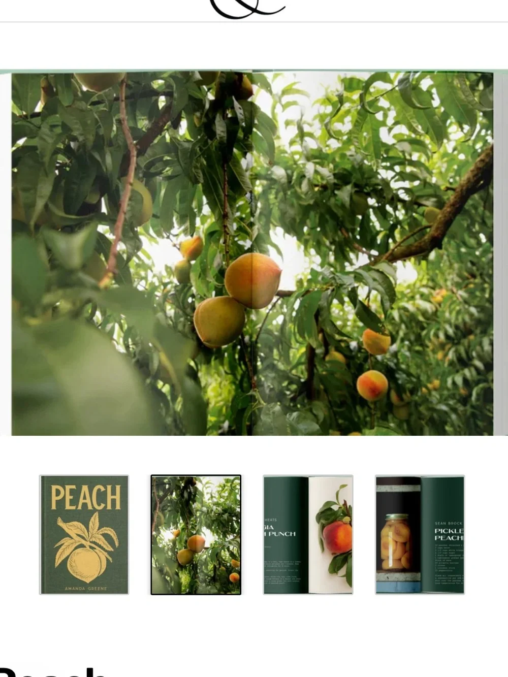 Peach by Amanda Greene from Bitter Southerner